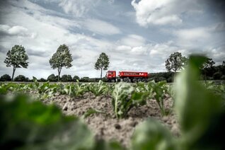 Seitenansicht eines LKW auf einer Landstraße